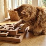 jouet pour maine coon - Image de couverture